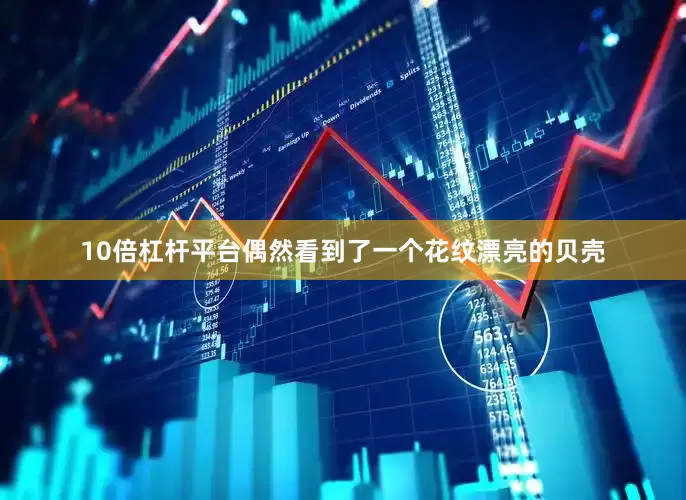 10倍杠杆平台偶然看到了一个花纹漂亮的贝壳