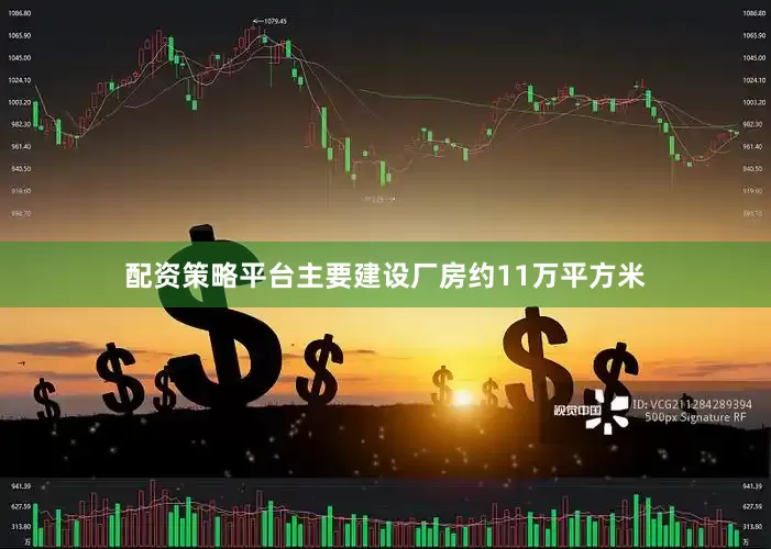 配资策略平台主要建设厂房约11万平方米