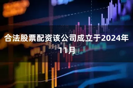 合法股票配资该公司成立于2024年11月