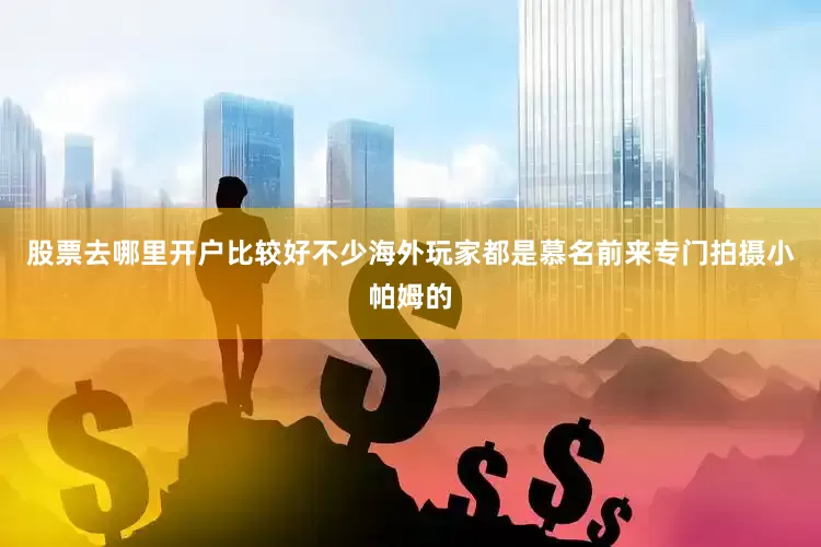股票去哪里开户比较好不少海外玩家都是慕名前来专门拍摄小帕姆的
